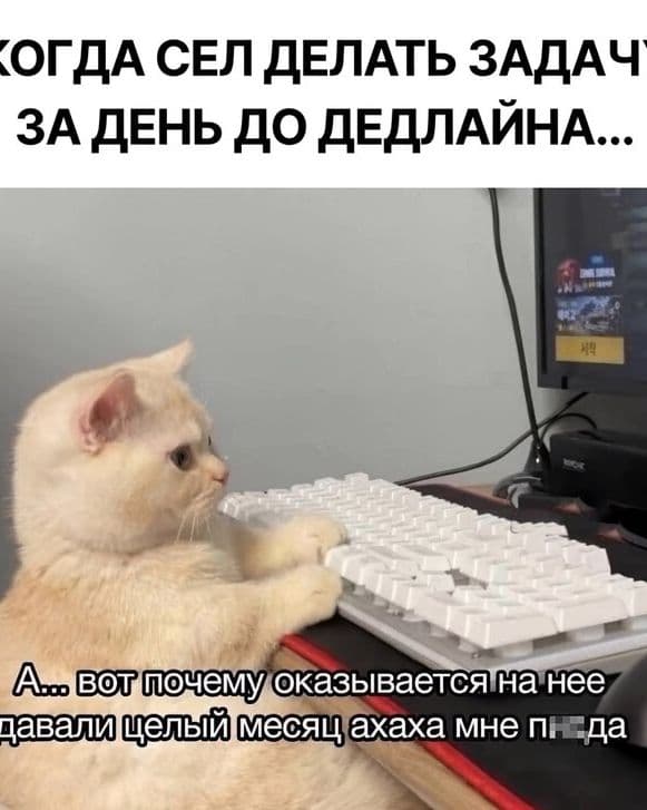 Тестовое для KICB